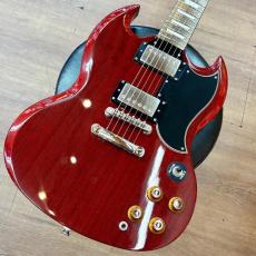 Epiphone G-400 Pro_2