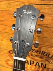Taylor 【人気モデル】112ce【コスパ最強エレアコ】_4