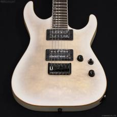 GrassRoots G-HORIZON-FX [See Thru White Sunburst Satin]_3
