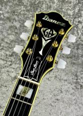 Ibanez 【秋の中古楽器セール】GB10 George Benson -BrownSunburstl- 【2008'USED】【1F】_3