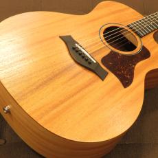 Taylor 24ce