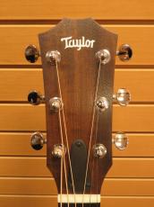 Taylor 24ce_9