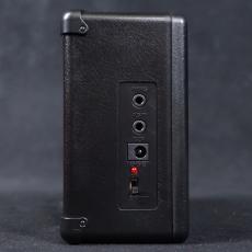 VOX AC2 RhythmVOX Bass_5