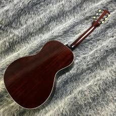 Switch SL-1 Irene_8