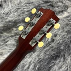 Switch SL-1 Irene_10