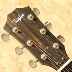 Taylor 310e LTD 2016_8