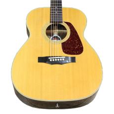 Morris F-40 w/Fishman PU