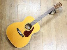 Morris F-40 w/Fishman PU_2