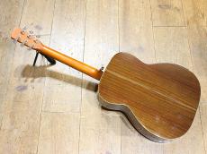 Morris F-40 w/Fishman PU_3