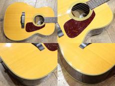 Morris F-40 w/Fishman PU_5