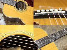 Morris F-40 w/Fishman PU_6