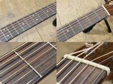 Morris F-40 w/Fishman PU_7