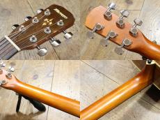 Morris F-40 w/Fishman PU_8