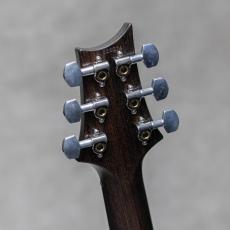 Paul Reed Smith [PRS] Paul's Guitar Artist Package Rosewood Neck&FB Black Gold Burst / 2015_10