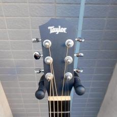 Taylor Baby Taylor BT1_3