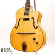 Shelley D Park Slimline Electric_2