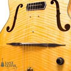 Shelley D Park Slimline Electric_3