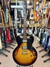 Epiphone DOT_3