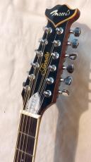 Morris TZ-12_6