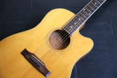 Gibson Americana series オリジナル L.R.Baggs ピックアップ_3
