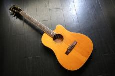 Gibson Americana series オリジナル L.R.Baggs ピックアップ_5