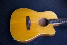 Gibson Americana series オリジナル L.R.Baggs ピックアップ_7