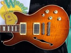 b3 WOOD VIOLIN BURST_2