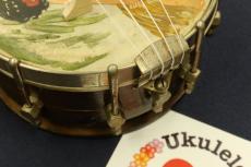 Gibson 1920's UB-1 "Baby Gibson" Sopranino Banjo Ukulele With Hand-Painted Design #3000_7