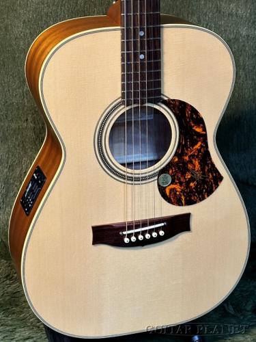 Maton EBG808 Tommy Emmanuel #34838【48回迄金利0%対象】【送料当社負担】