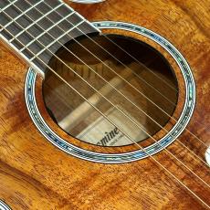 Takamine 【現物動画あり】PTU131KC #62080479 【杢目、大当たり個体】_8