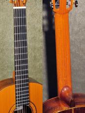 Ancelmo Solar Gonzalez アンセルモ・ソラー・ゴンザレス 1975年製 杉・ローズウッド -Vintage-【48回迄金利0%対象】_7