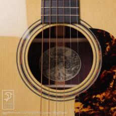 Collings D-2 A Hill Country【紹介動画あり】_10