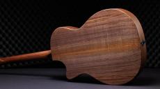 Taylor 50th Anniversary AD14ce-SB LTD_2