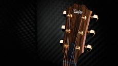 Taylor 50th Anniversary AD14ce-SB LTD_4