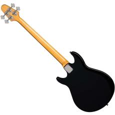 Epiphone Grabber Bass Ebony_2