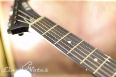 LTD VULTURE (Black Satin)_5