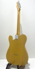 Fender American Professional Classic Telecaster / Butterscotch Blonde_4