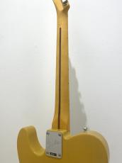 Fender American Professional Classic Telecaster / Butterscotch Blonde_6