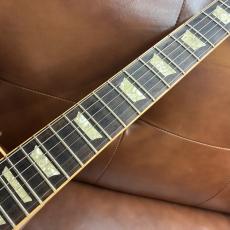 Gibson 【超希少モデル!】Alex Lifeson Les Paul Axcess in Viceroy Brown [4.09kg] 3Fフロア_7