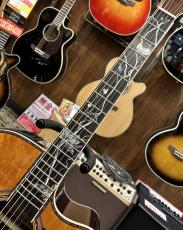 Takamine DMP200 Custom -Bear Claw Spruce&Maple Binding-【当店オリジナルカスタム】_7