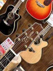 Takamine DMP200 Custom -Bear Claw Spruce&Maple Binding-【当店オリジナルカスタム】_8