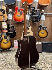 Takamine DMP200 Custom -Bear Claw Spruce&Maple Binding-【当店オリジナルカスタム】_10
