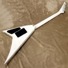 Jackson Legend Series Limited Edition Signature Scott Ian Rhoads RR22 NOT_3