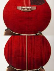 Takamine DMP551C WR Wine Red【国産エレアコ】【シダー&サペリ表裏単板】【CT4-DX搭載】_5