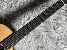 ASTURIAS Grand Solo 20th Anni_5