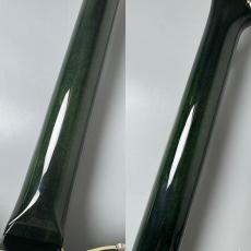 FREEDOM CUSTOM GUITAR RESEARCH C.S. TE Pepper Semi Hollow -Moss Green- #26014170 【G-CLUB UMEDA一周年セール】_9