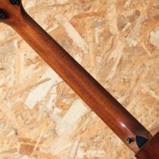 Taylor Next Generation 324ce_7