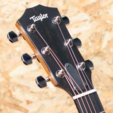 Taylor 414ce Studio NAT_8