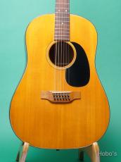 Martin D12-20 "12 String Guitar"
