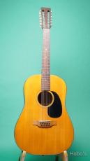 Martin D12-20 "12 String Guitar"_2